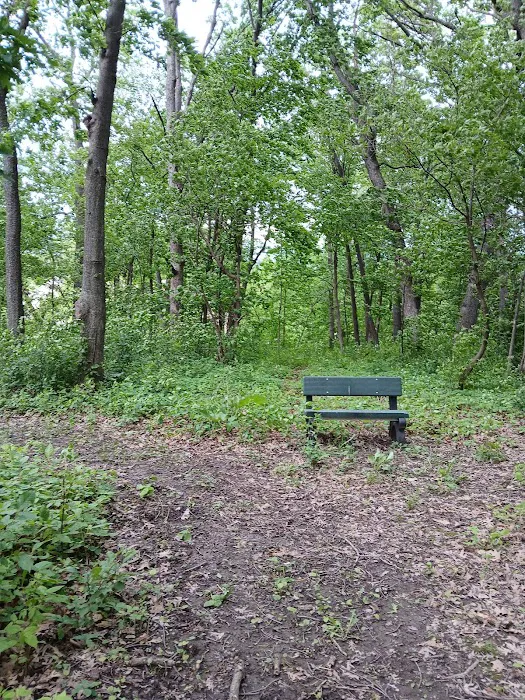 Forestry Department 0