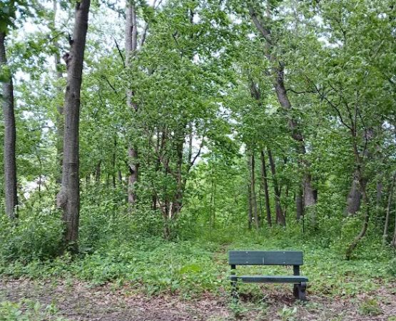 Forestry Department