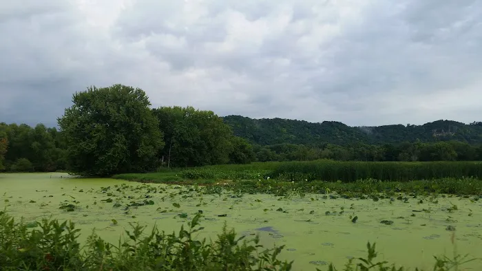 Goose Island Campground 6