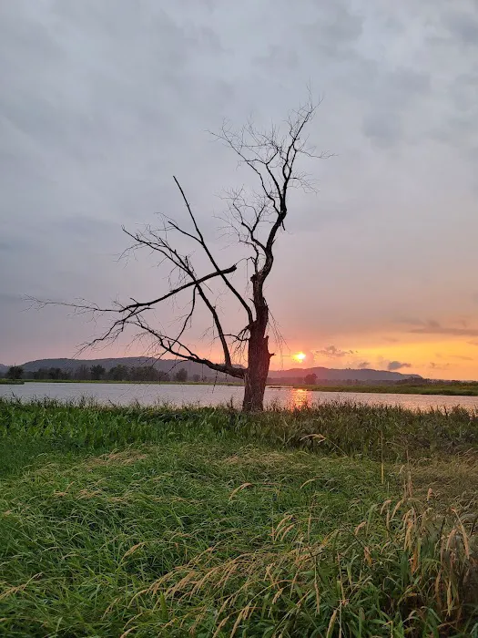 Goose Island Campground 7