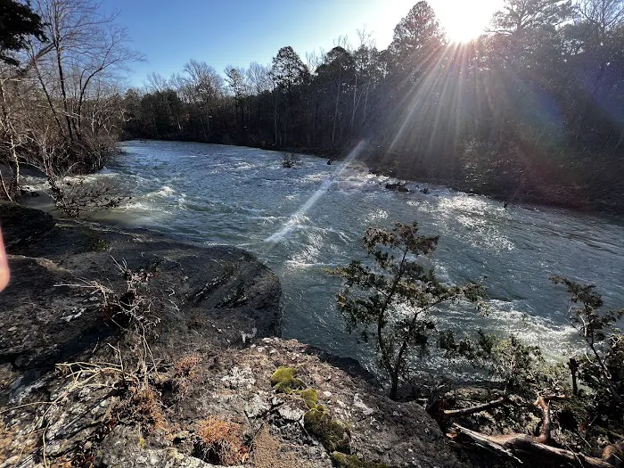 Bayou Bluff Recreation Area 5