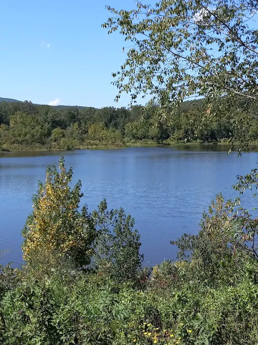 Upper Brock Creek Campground 6