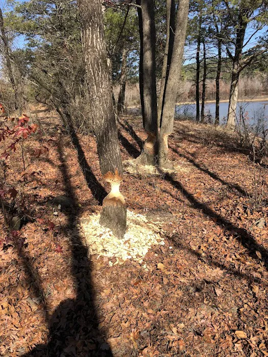 Upper Brock Creek Campground 3