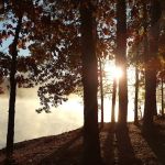 Cove Lake Campground