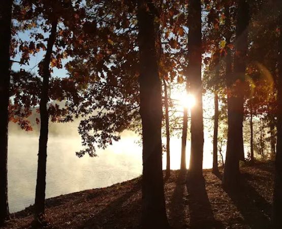 Cove Lake Campground