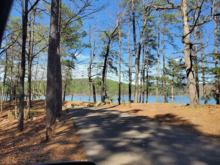 Cove Lake Campground 6