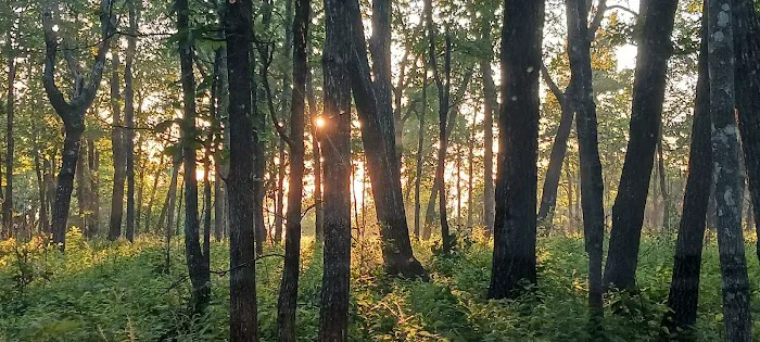 Cameron Bluff Campground 2