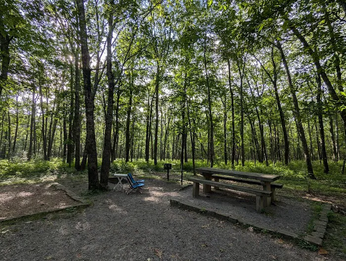 Cameron Bluff Campground 7
