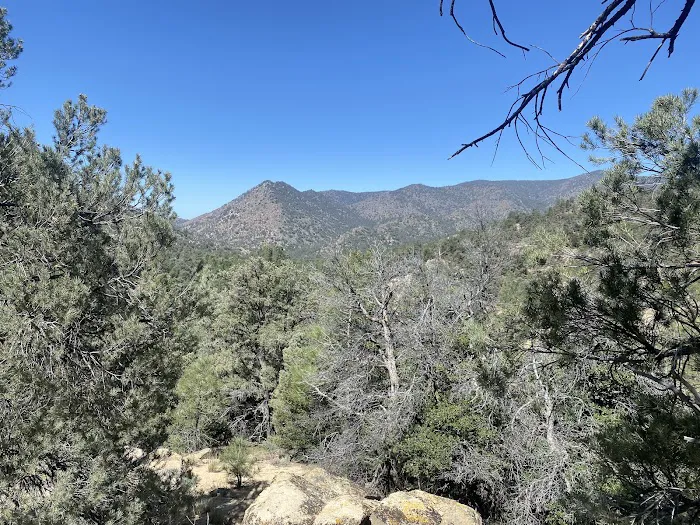Chimney Creek Campground 3