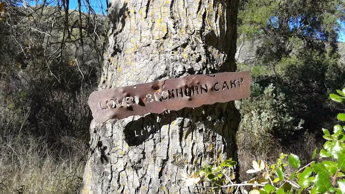 Lower Buckhorn Camp 0