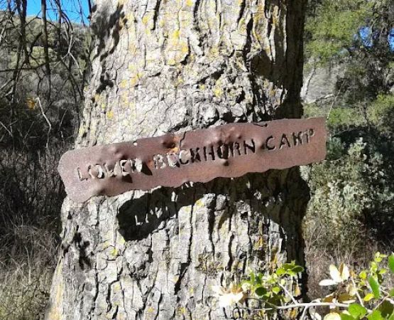 Lower Buckhorn Camp