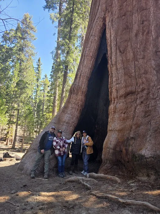 Limestone Campground 9
