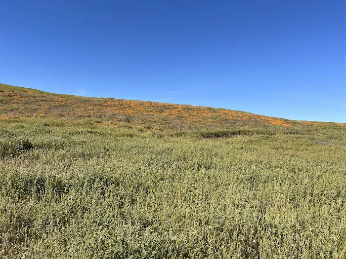 Exterior Field 3