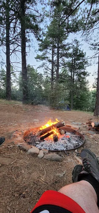 El Prado Group Campground - Whitehorn 1
