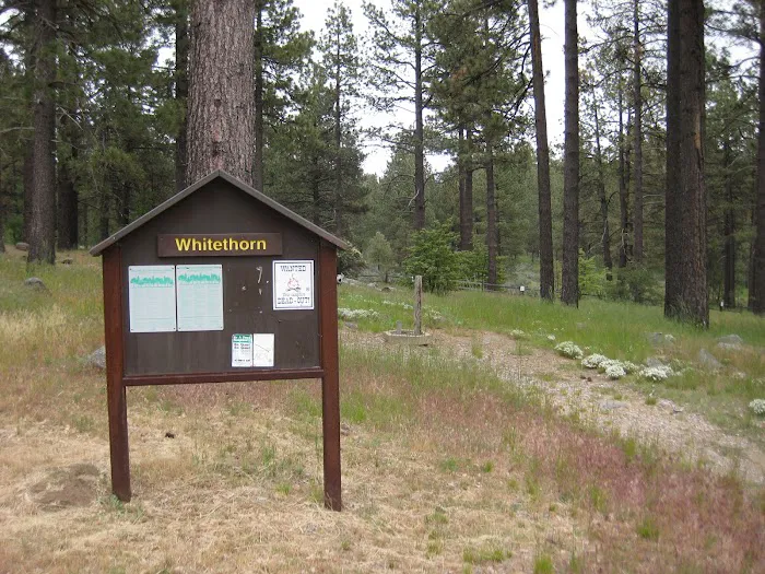 El Prado Group Campground - Whitehorn 0