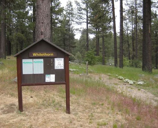 El Prado Group Campground - Whitehorn