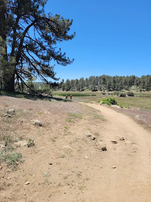El Prado Group Campground - Big Sage 2