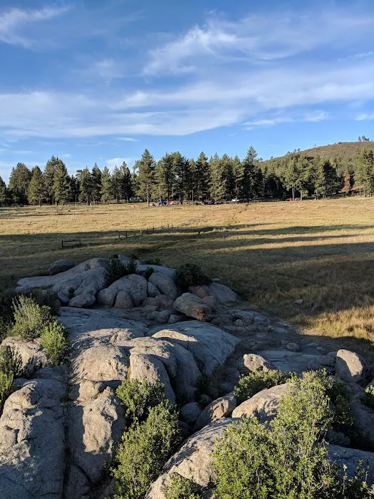 El Prado Group Campground - Big Sage 7