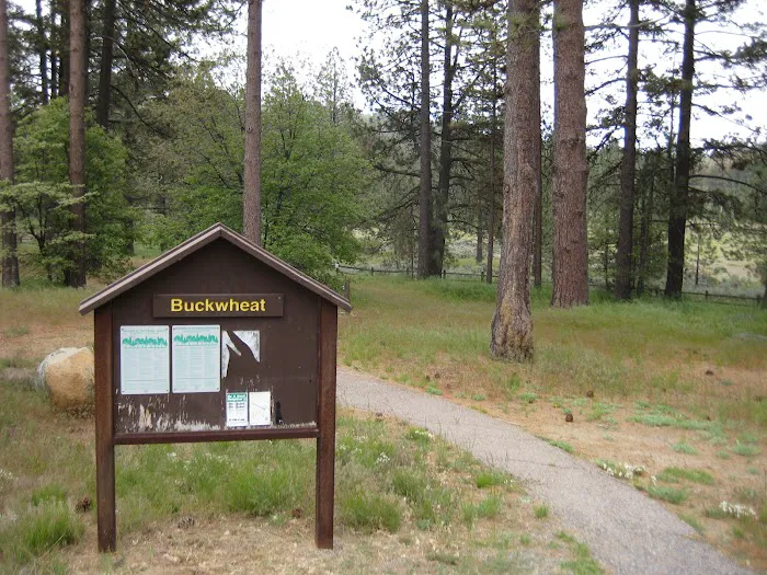 El Prado Group Campground - Big Sage 1