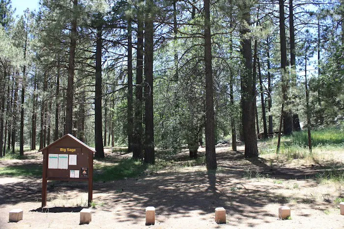 El Prado Group Campground - Big Sage 0