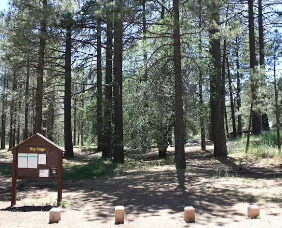 El Prado Group Campground - Big Sage