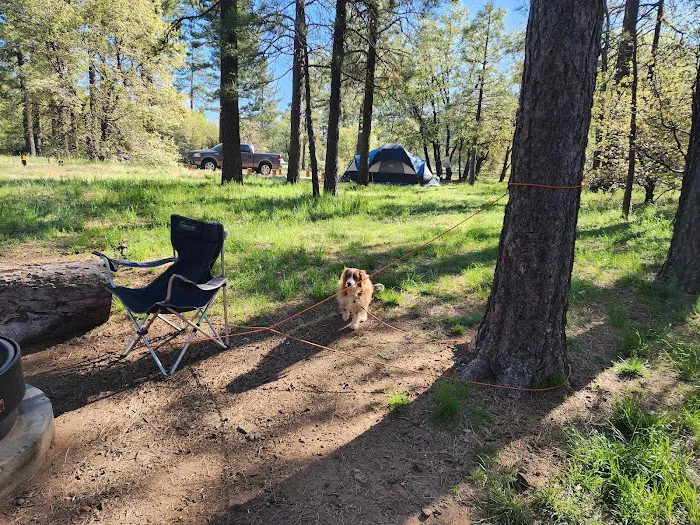 Laguna Campground 5