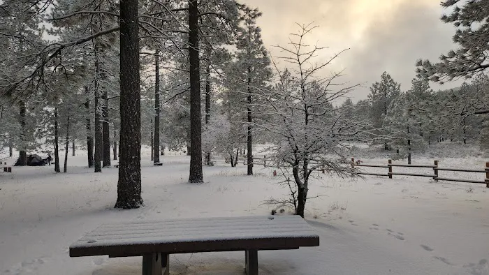 Laguna Campground 1