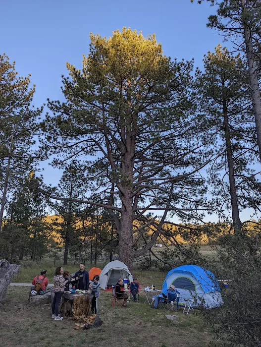 El Prado Group Campground 6