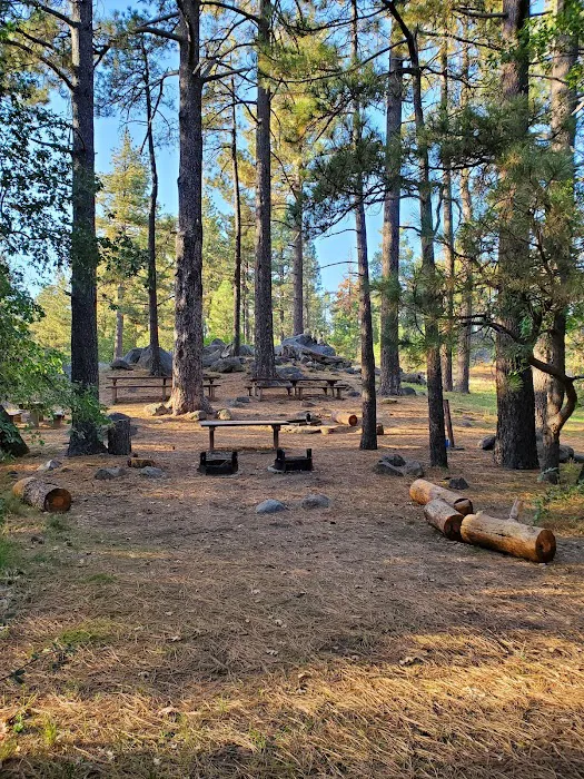 El Prado Group Campground 4