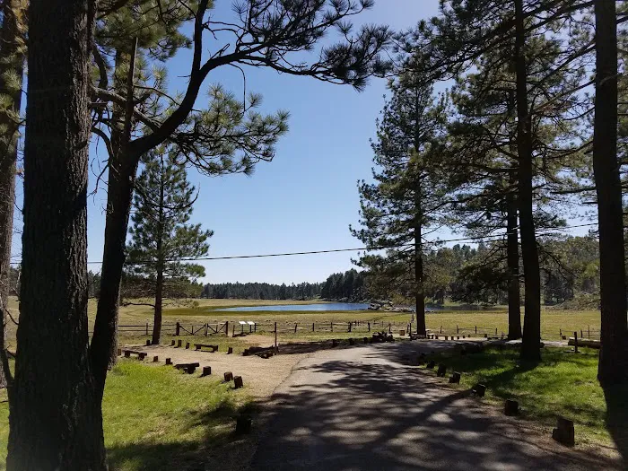 El Prado Group Campground 5