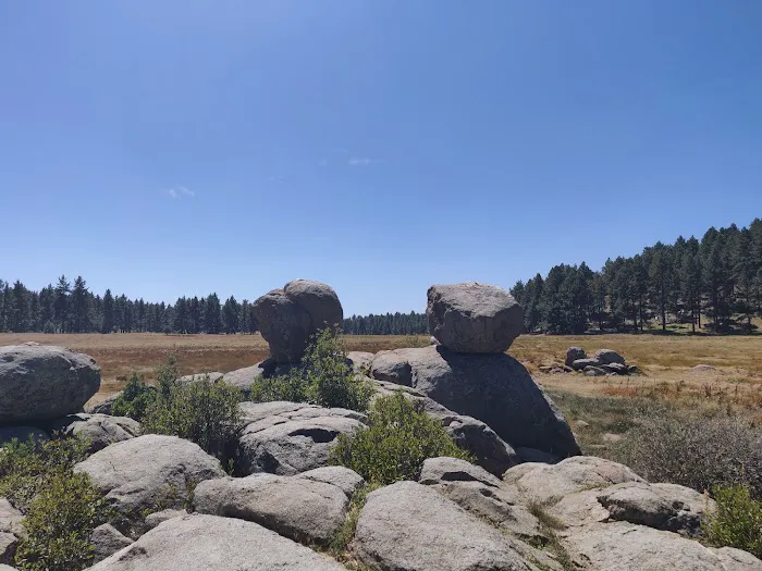 El Prado Group Campground 8