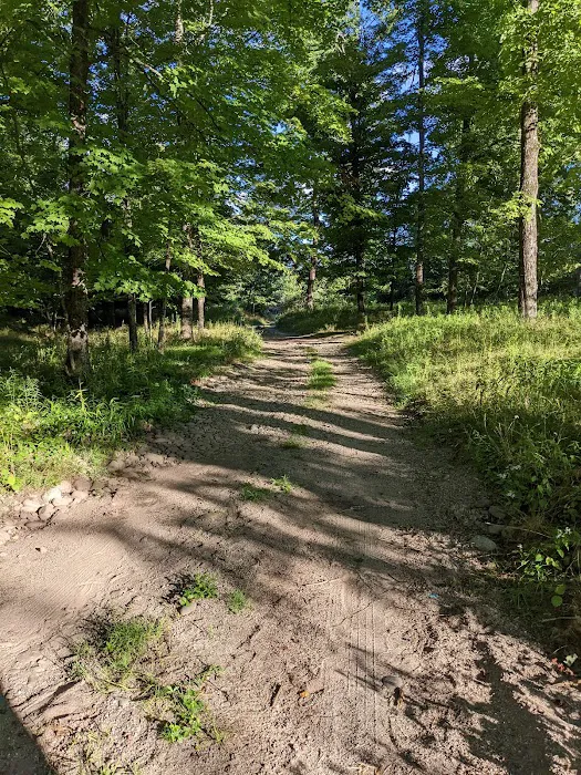 Neversink River Campgrounds 2