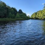 Neversink River Campgrounds