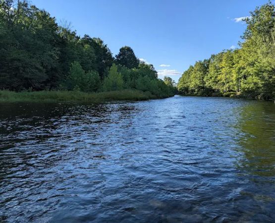 Neversink River Campgrounds