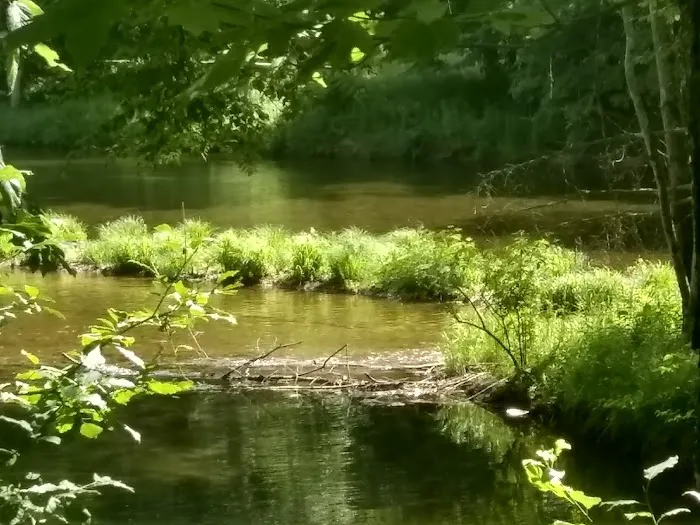 Neversink River Campgrounds 3