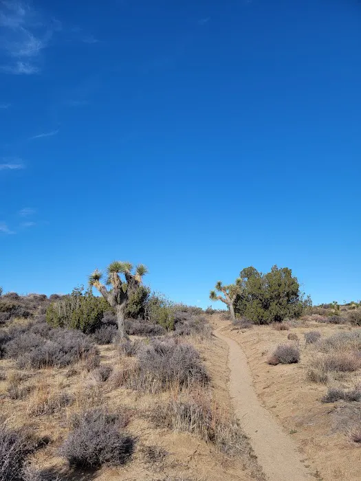 Juniper Flats Backcountry 6