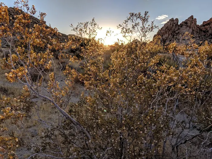 Indian Cove Campground 7