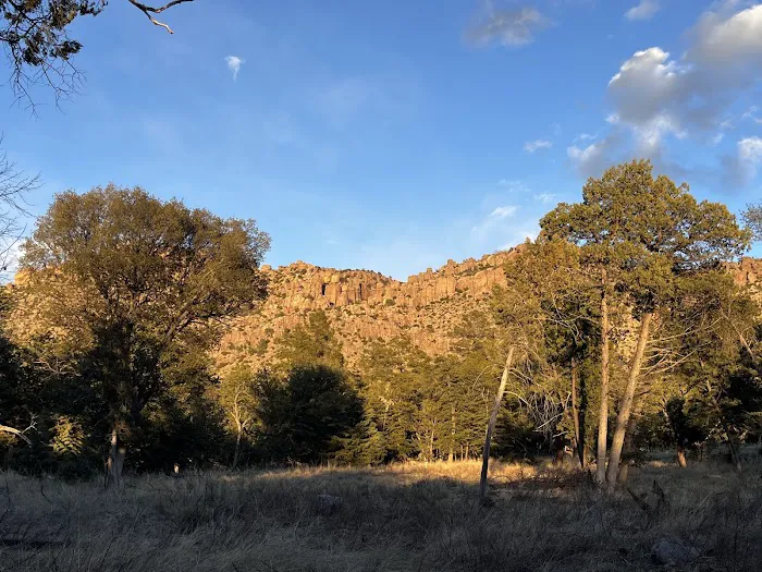 Bonita Canyon Campground 6