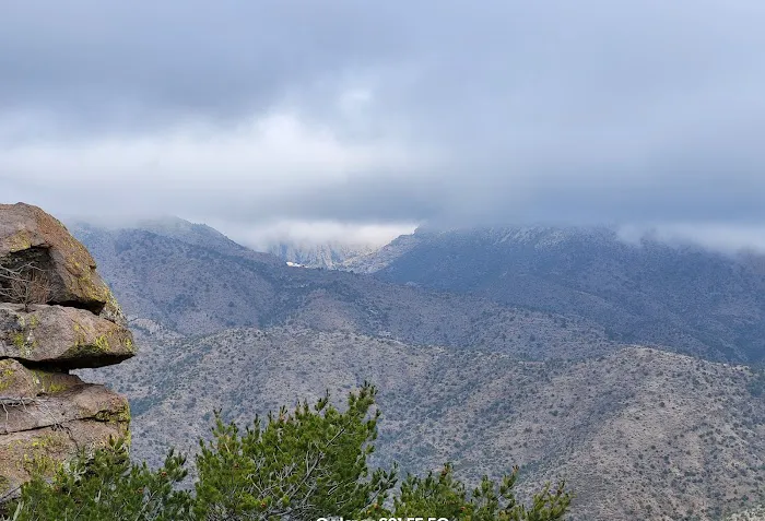 Bonita Canyon Campground 4