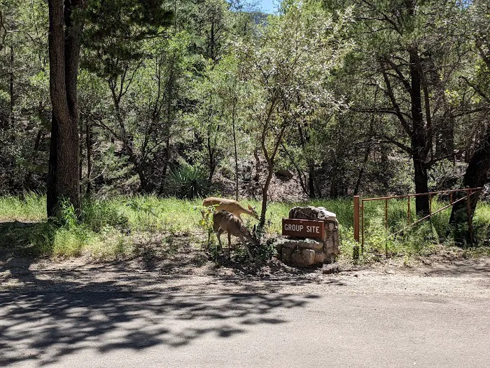 Bonita Canyon Campground 9