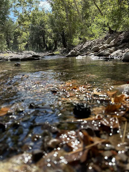 Walnut Grove Campground 6