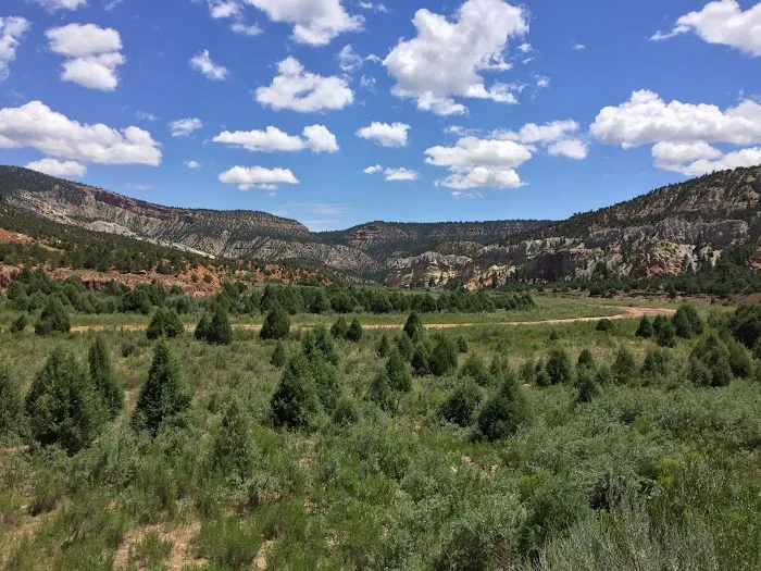 Rio Chama Campground, Coyote Ranger District, Santa Fe National Forest 3