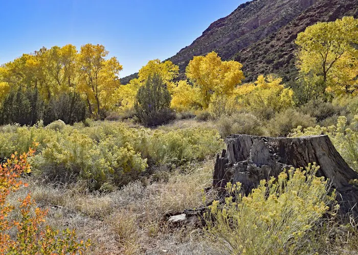 La Junta Fishing Site (recgovnpsdata) 2