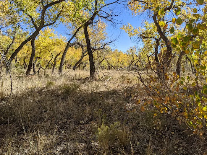 La Junta Fishing Site (recgovnpsdata) 7