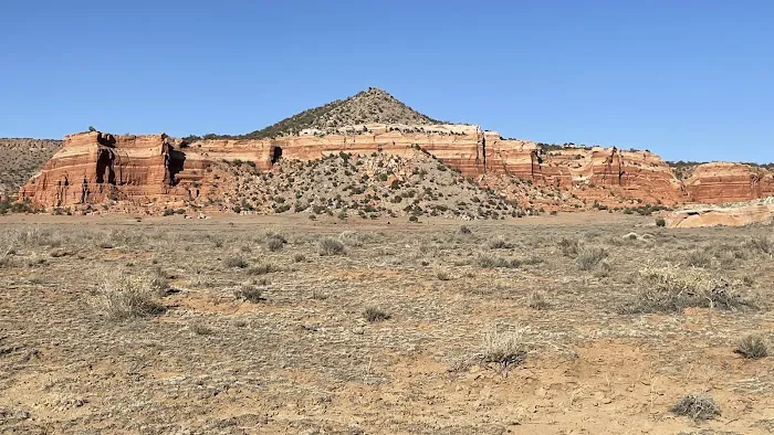 The Golden Rose Ranch 5