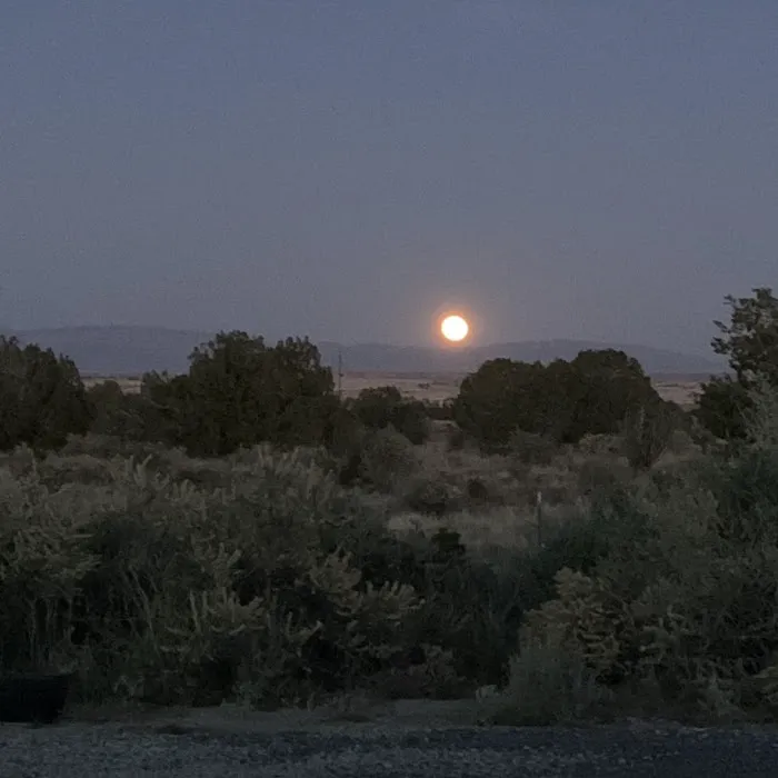 Star Gazer Ranch 4