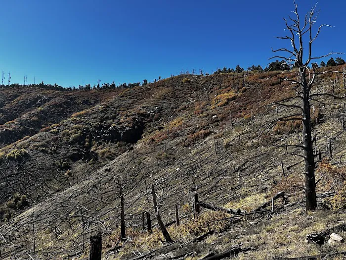 Capilla Peak Campground 9