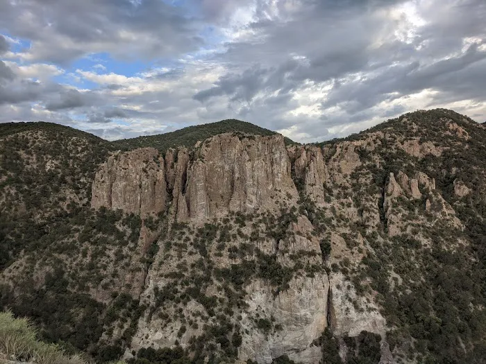Black Jack Campground 7