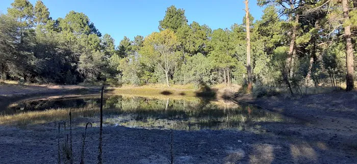 Black Jack Campground 1