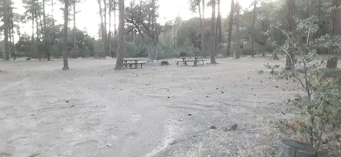 Black Jack Campground 5